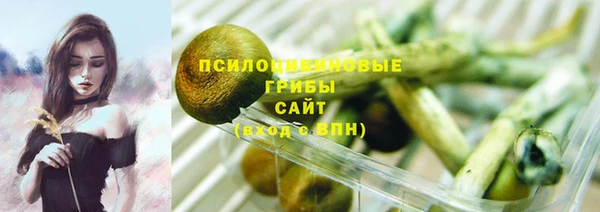 гидра Арсеньев