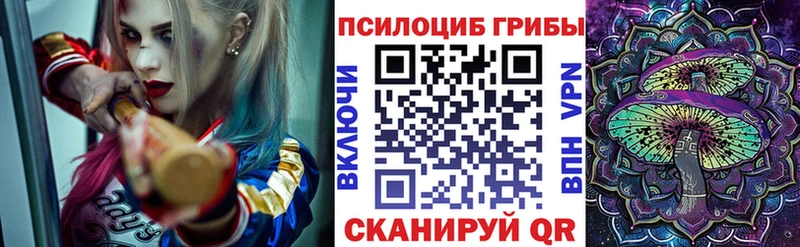 где найти наркотики Октябрьск Галлюциногенные грибы Psilocybe